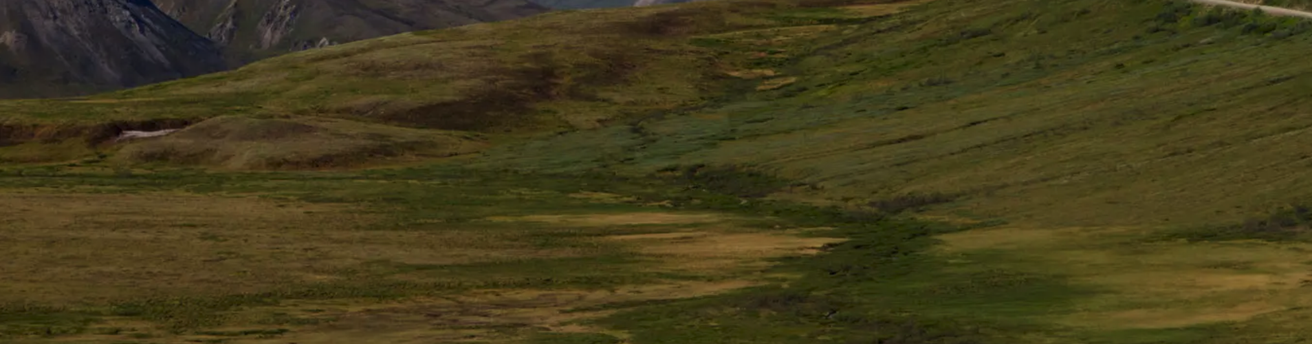 Alpine meadow with winding road